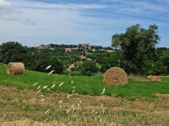 25.Weg von Candelara